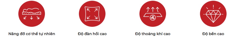 Đệm foam Oyasumi Original Tính năng đệm foam Oyasumi